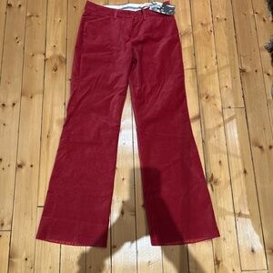 Express Design Studio Editor Velvet  Pant Size 4.  New With Tags